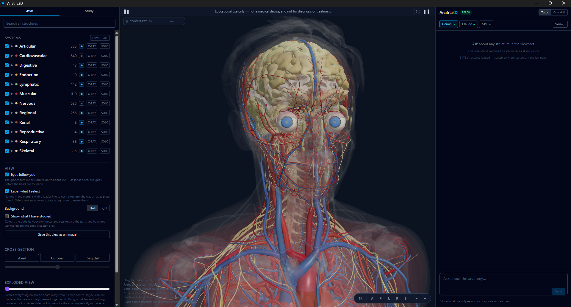 Digital Rose представя Anatria3D v0.1.7: Първият 3D анатомичен атлас с изкуствен интелект и Web3 проследимост